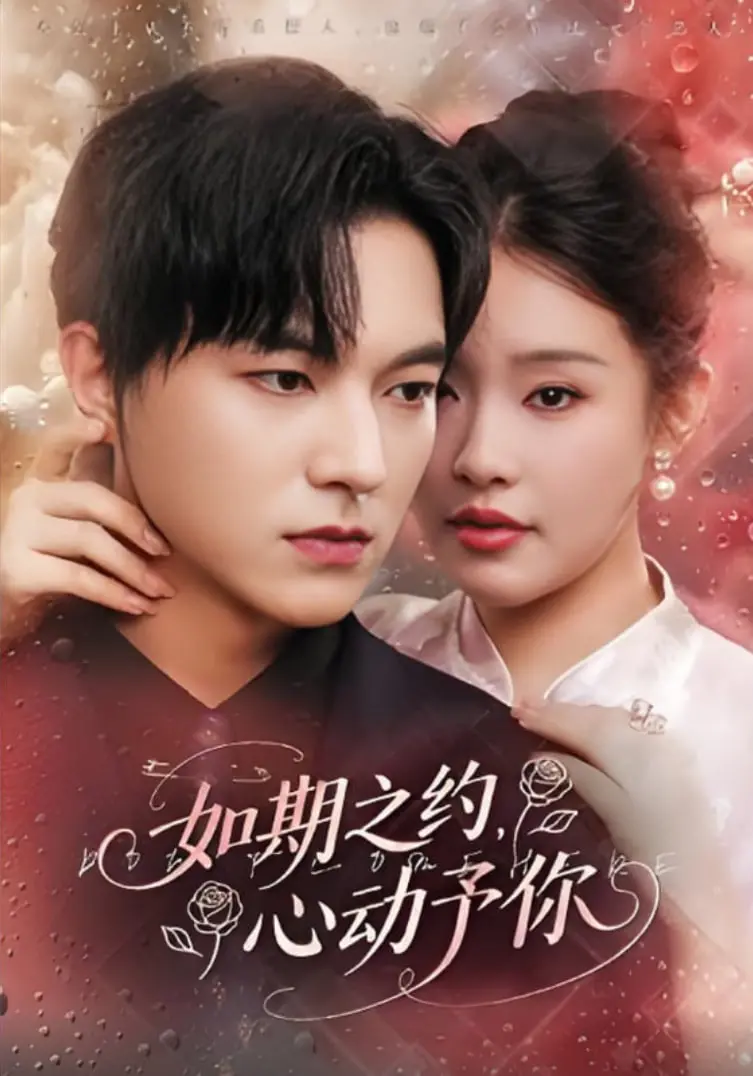 《如期之约心动予你》：一场命中注定的爱情，甜到齁的都市浪漫轻喜剧！
