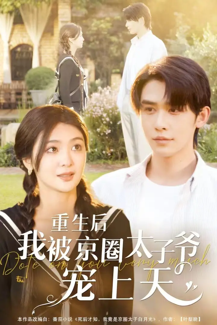 《重生后我被京圈太子爷宠上天》：霸道深情，爱情逆袭，看她如何逆转人生，收获宠爱！